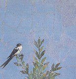 Alternanza scuola-lavoro. A Pompei si mantiene il verde antico