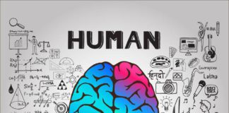 Eterno dubbio: studi scientifici o umanistici?