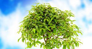 A scuola arriva l’Educazione ambientale