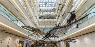 Il MUSE di Trento ingaggia gli studenti come ciceroni