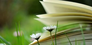 Nati per leggere: per crescere assieme