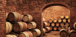 Imprenditori per un giorno: una gita tra le vigne per i bimbi di Serravalle Langhe