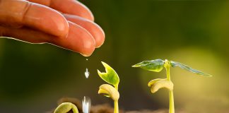 “Il Futuro del cibo è nell’Agricoltura”