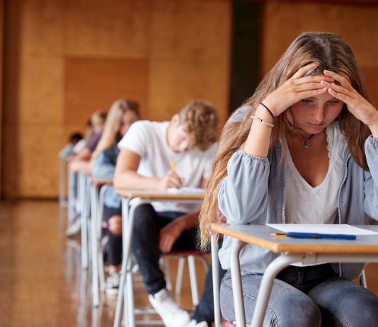 Simulazione Prima Prova 2019: tracce e temi svolti