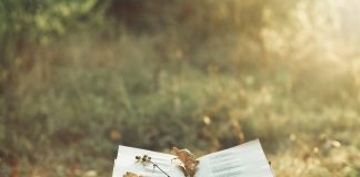 Il 21 Marzo il mondo celebra la poesia