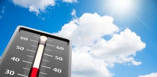 FridaysforFuture, il maxi-sciopero ambientale contro i cambiamenti climatici