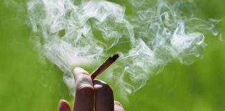 Trovata la droga in una scuola di Milano: sospesa un’intera classe