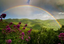 “Coloriamo”, un progetto che guarda al futuro