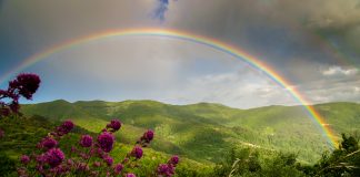 “Coloriamo”, un progetto che guarda al futuro