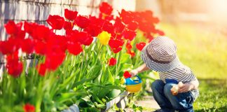 Come funzionano gli asili steineriani e perché sceglierli