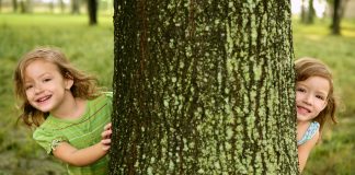 Asilo nel bosco: il nuovo modello di scuola è arrivato anche in Italia