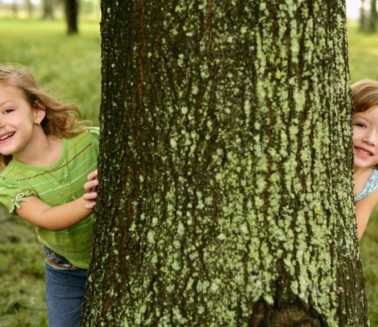 Asilo nel bosco: il nuovo modello di scuola è arrivato anche in Italia