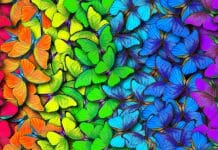 Di che colore sono le emozioni?