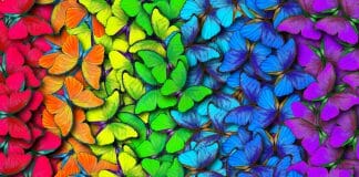 Di che colore sono le emozioni?