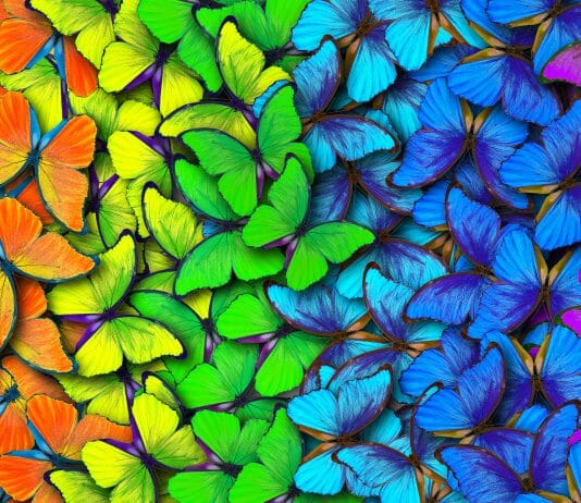 Di che colore sono le emozioni?