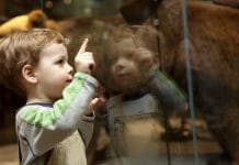 “Nati con la cultura”: quando l’arte fa bene alla salute