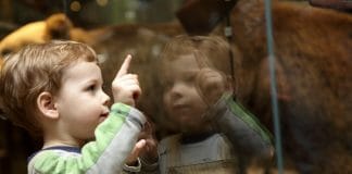 “Nati con la cultura”: quando l’arte fa bene alla salute