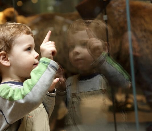 “Nati con la cultura”: quando l’arte fa bene alla salute